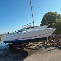 Formula 336 sr natante