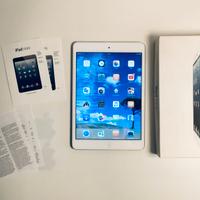 iPad mini 1, da collezione.