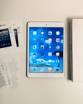 iPad mini 1, da collezione.