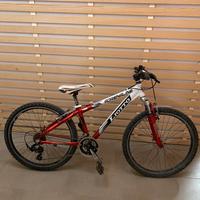 Bici Liotto