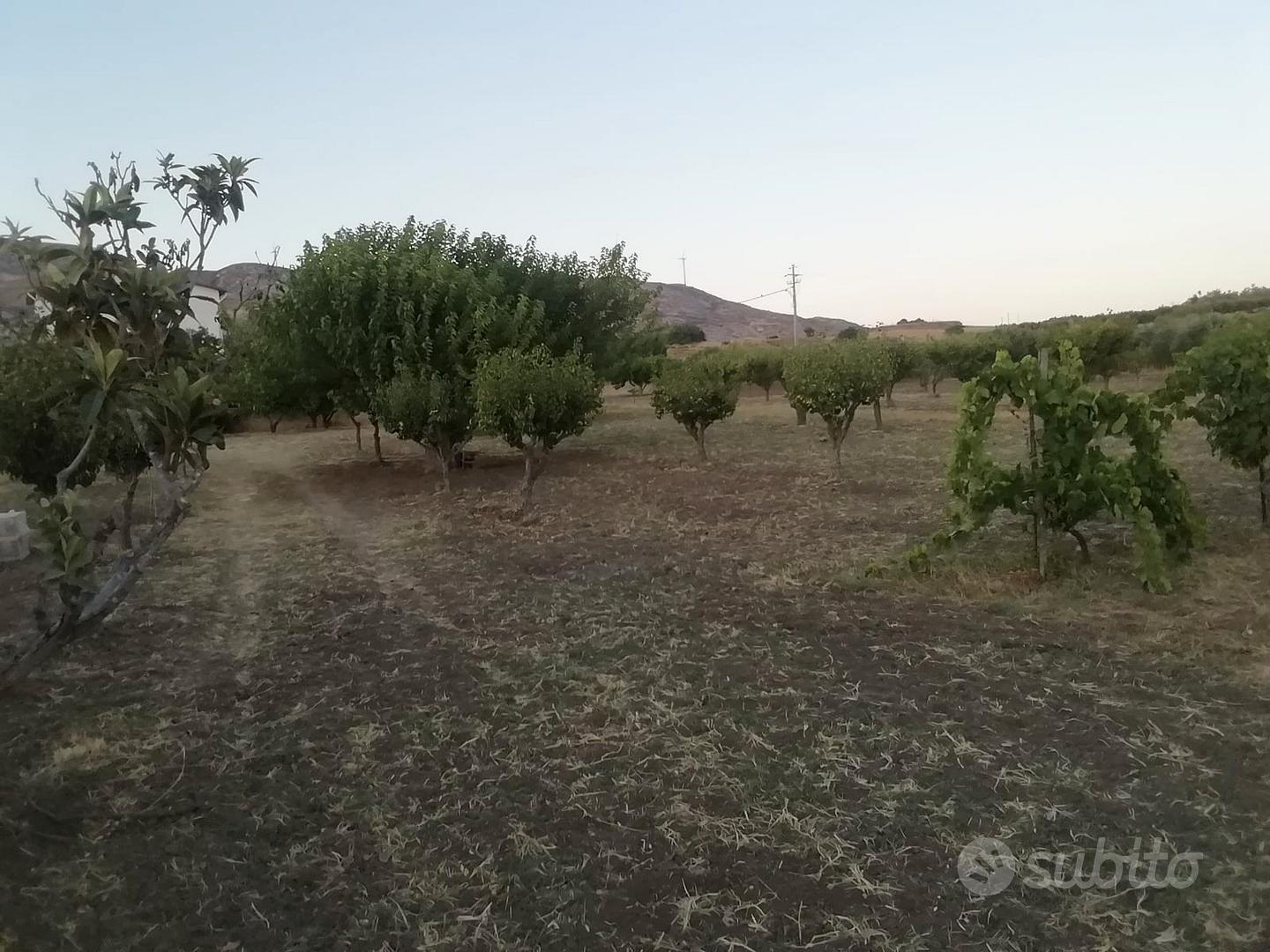 TERRENO AGRICOLO CON POTENZIALITÀ EDIFICATORIA - Vista 5
