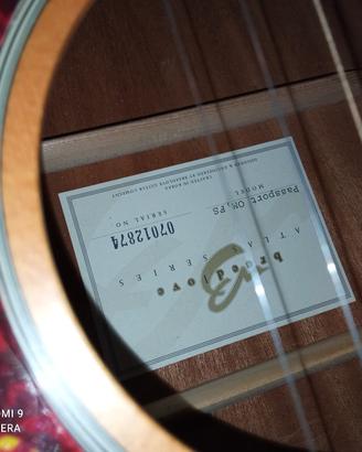 Chitarra acustica Breedlove