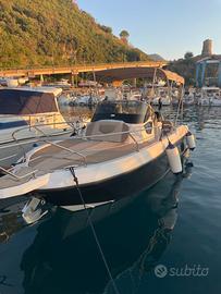 Ranieri Next 24 con suzuki 300 cv