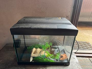 Acquario cayman 21lt