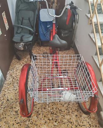 bicicletta 3 ruote