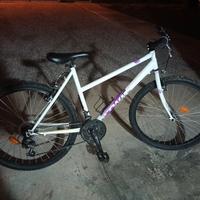 Mountain bike 