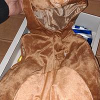 costume carnevale orsetto