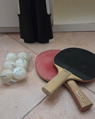 Ping pong da tavolo