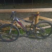 bicicletta elettrica Olympia 