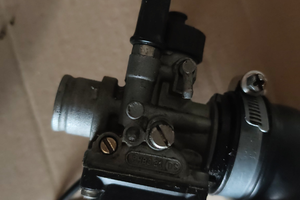 Carburatore dell'orto