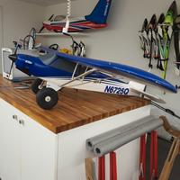 modellino aereo E-flite carbon-z