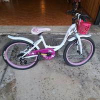 Bicicletta bambina 6-8 anni
