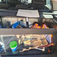Acquario completo  80/100 litri