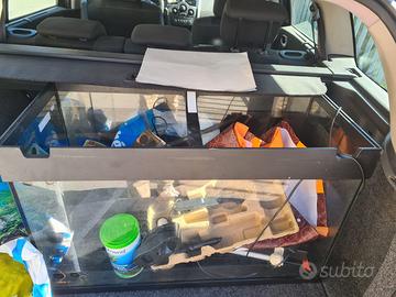 Acquario completo  80/100 litri