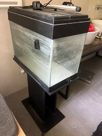 Acquario 50 lt