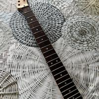 Manico/Neck Squier Telecaster Indian Laurel