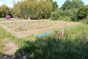 Terreno Agricolo 1300 mq