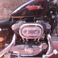 Harley Davidson sportster XL 1200 custom