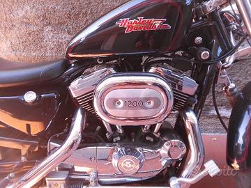 Harley Davidson sportster XL 1200 custom