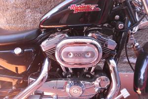 Harley Davidson sportster XL 1200 custom