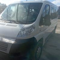 Fiat ducato 9 posti