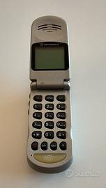 Motorola V50