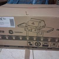 Barbecue  a gas da giardino