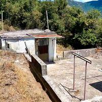 Terreno 10.000 mq con uliveto, casetta e piscina