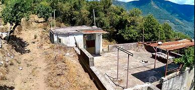 Terreno 10.000 mq con uliveto, casetta e piscina