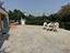 Immagine 18