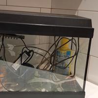 acquario 40 LT completo