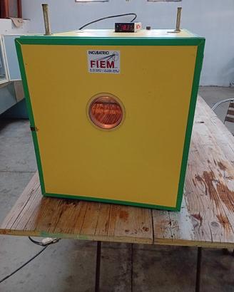 incubatrice fiem