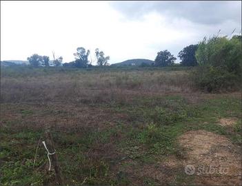 Terreno Edificabile a Fondi