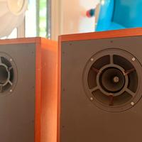 AXIOM 80 il monovia altroché Rullit