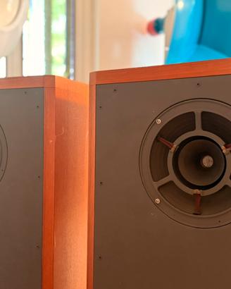 AXIOM 80 il monovia altroché Rullit