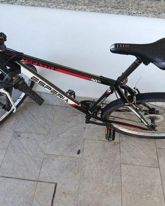 mountain bike