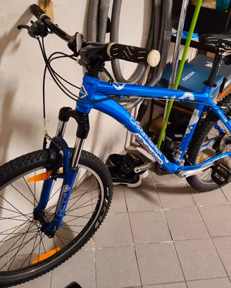 bicicletta Gary Fisher Genesis 2.0 usata