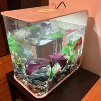 Acquario 15L con accessori