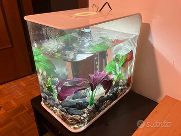 Acquario 15L con accessori