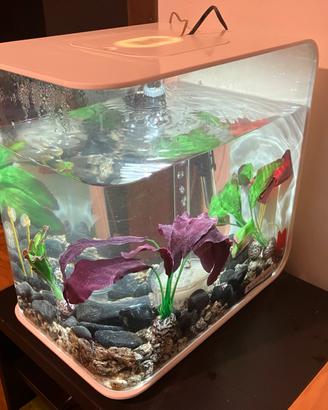 Acquario 15L con accessori