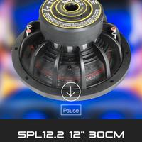 Bass face spl 12.2 30 cm