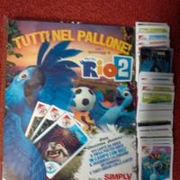 album raccoglitore completo di tette le card