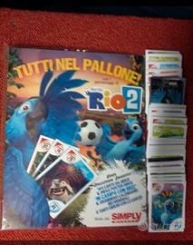 album raccoglitore completo di tette le card