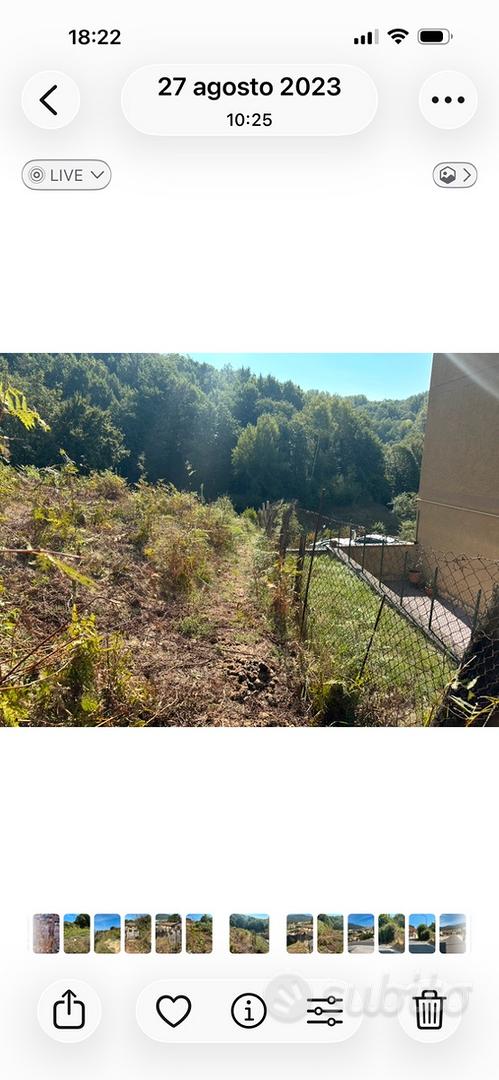Terreno rurale - Vista 3