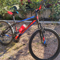 Mtb 24