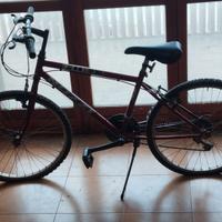 Bicicletta con ruote da 24 pollici