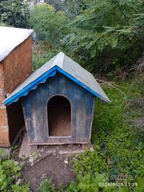  cucce da esterno per cani di taglia grande