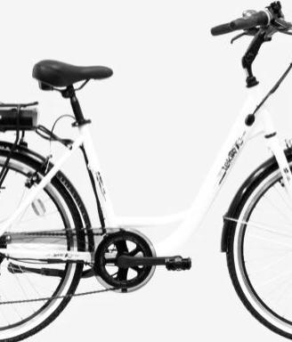 Bicicletta elettrica