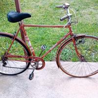 Biciclette uomo villier