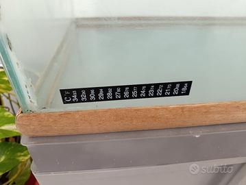 acquario 20 euro 